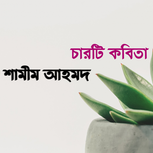 শামীম আহমদ এর চারটি কবিতা